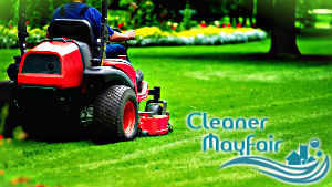 grass-cutting-mayfair