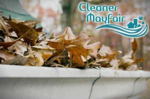 gutter-cleaners-mayfair